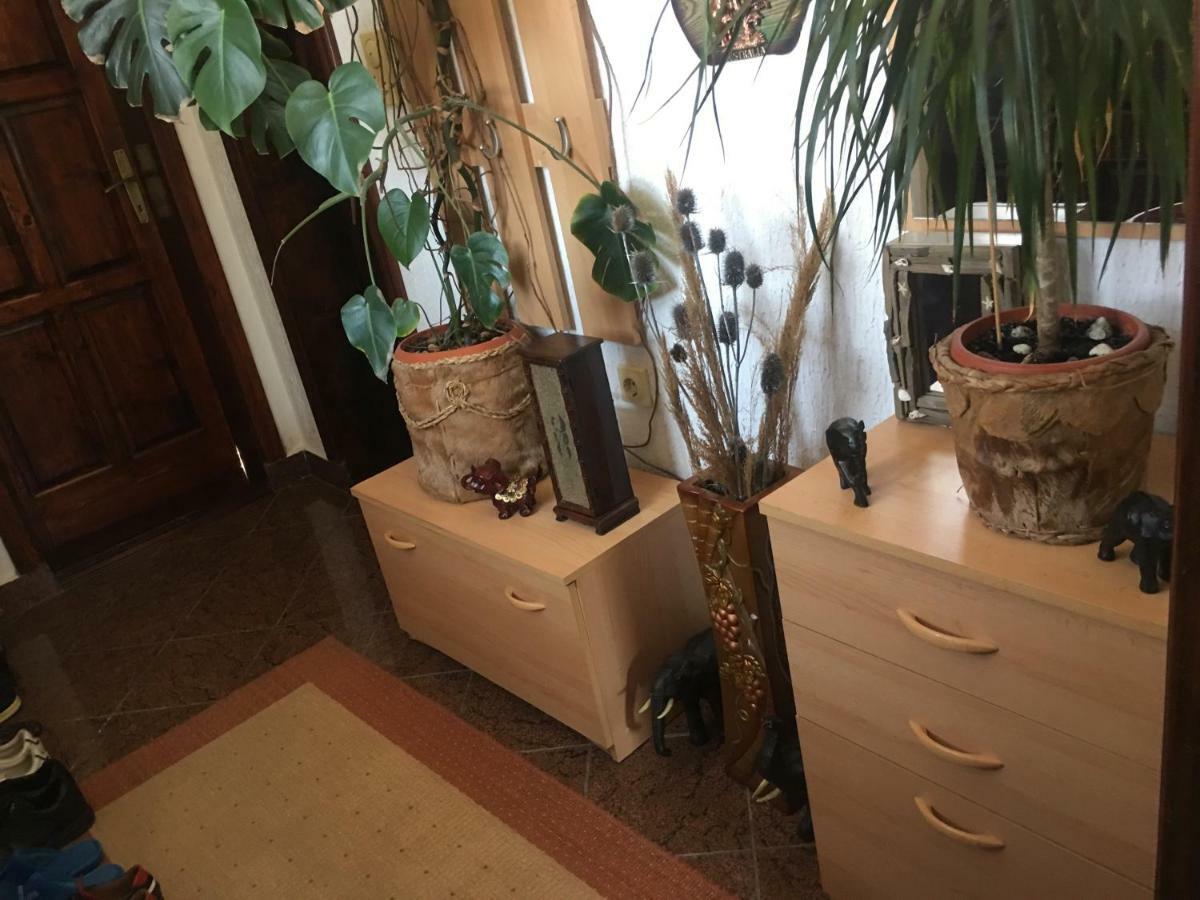 Apartment Miljana *
