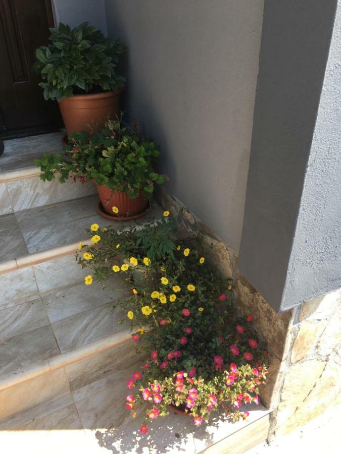 Miljana Apartment
